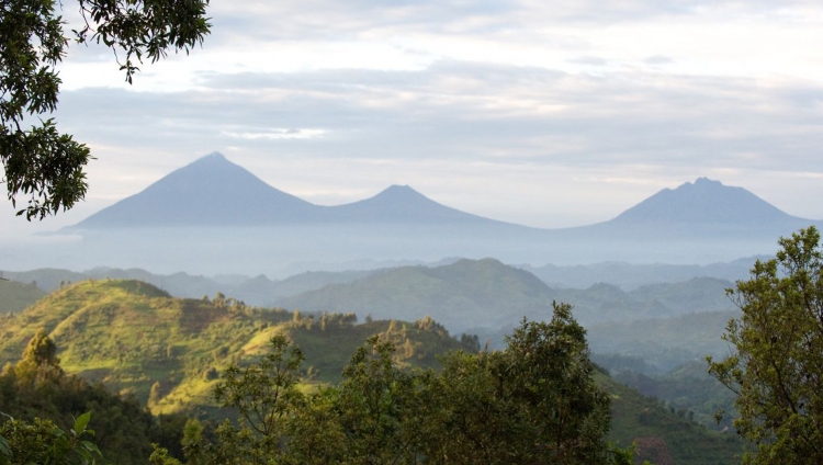 Clouds Mountain Gorilla Lodge - Ausblick in d